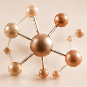 Metabolic Signaling Research